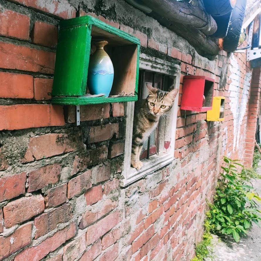 M Hostel貓客棧-清交大藝術眷村客棧 신주 외부 사진